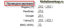 Просмотр количества проиндексированных страниц сайта с помощью Site-auditor Проверка позиций в Site-auditor