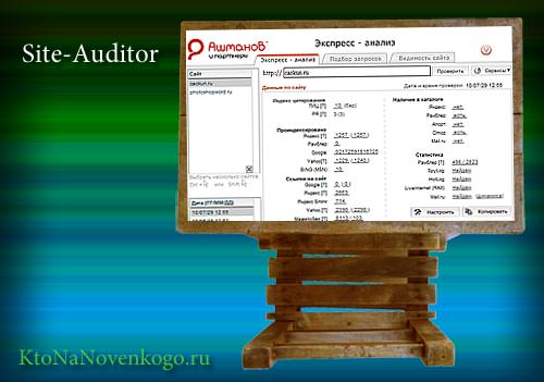 Site Auditor - проверка позиций сайта в поисковиках и SEO анализ Site Auditor
